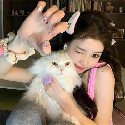 条条大道通罗马